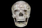 Realistic, Polished Jasper Skull #116719-1